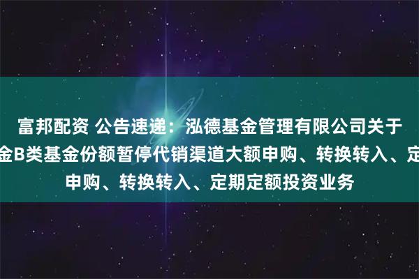 富邦配资 公告速递：泓德基金管理有限公司关于泓德添利货币基金B类基金份额暂停代销渠道大额申购、转换转入、定期定额投资业务